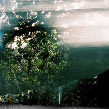 Purple into Black
Gondola Wish