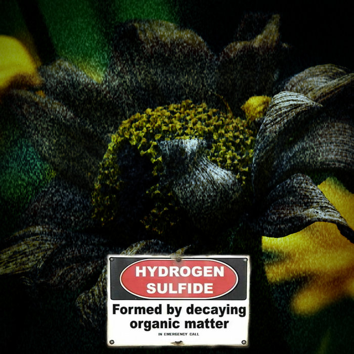 Formed By Decaying Organic Matter Hydrogen Sulfide