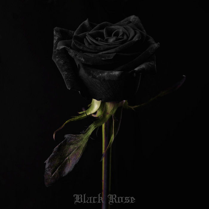 Dark Rose Cover Photos