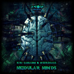 Modular minds