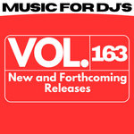 Music For Dj's (Vol. 163)