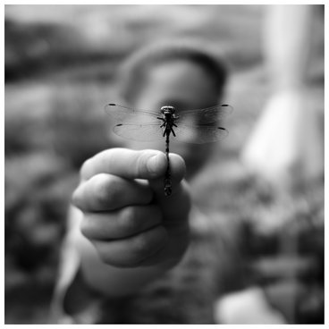 A C H R O N I E main photo