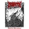 Distorted Perceptions (Demo)