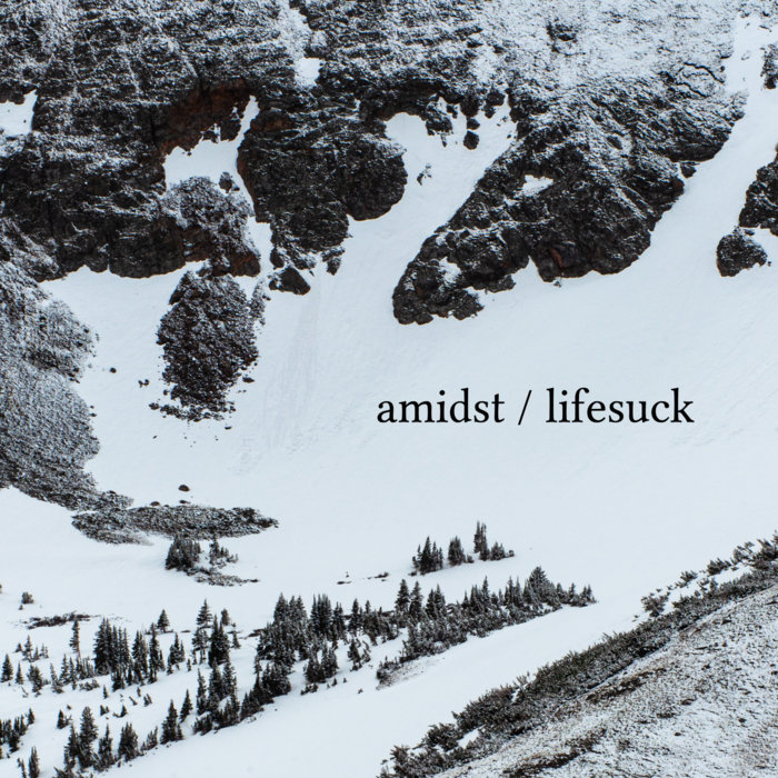 amidst / lifesuck split | amidst