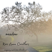 Meadow - Imaginary Road Studios Alternate Mix cover art