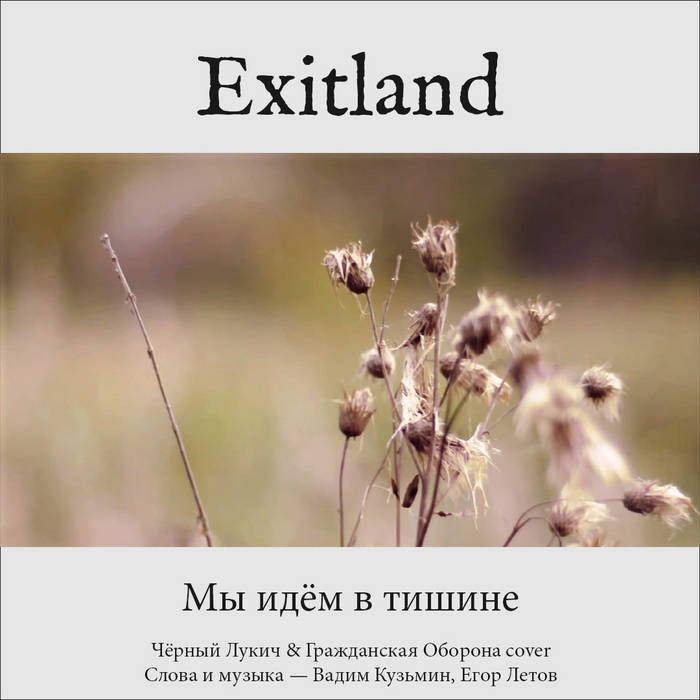 Мы Идём В Тишине (Cover Чёрный Лукич & Гражданская Оборона) | Exitland