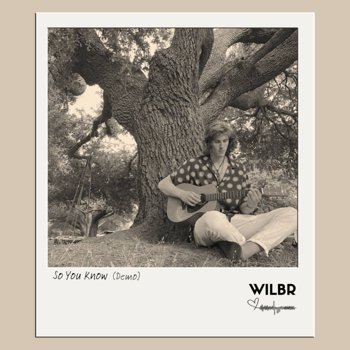 So You Know Demo, by WILBR