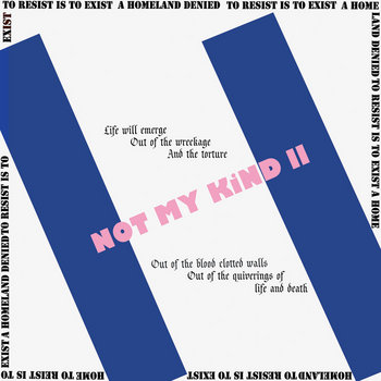 Album artwork for Not My Kind II