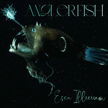 Music | Anglerfish