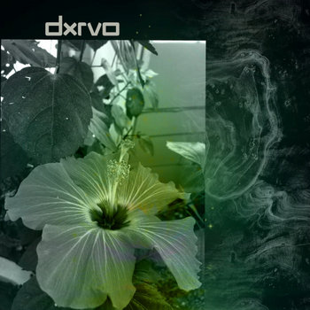 Autorhythm – Untitled Autorhythm – Untitled – Vinyl (7