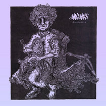 Alas - Anatomia