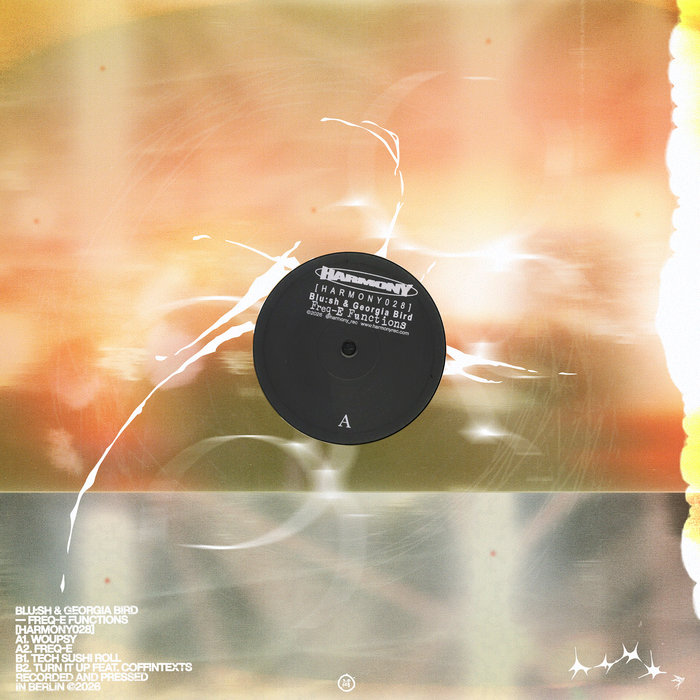 Pochette de Freq-E Functions par Blu:sh & Georgia Bird
