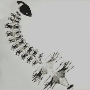 Black Sea cover
