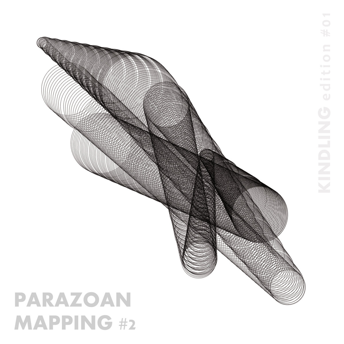 Parazoan Mapping 2 | Eric La Casa + Taku Unami | éric la casa