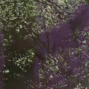 Palegic Love Drone cover