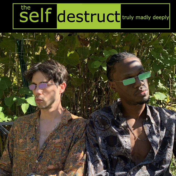 Truly Madly Deeply | the self destruct