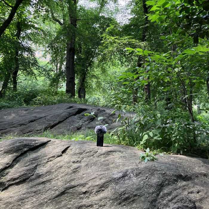 Central Park: A Picture-In-Sounds (Performance #1) | Mortality Tables