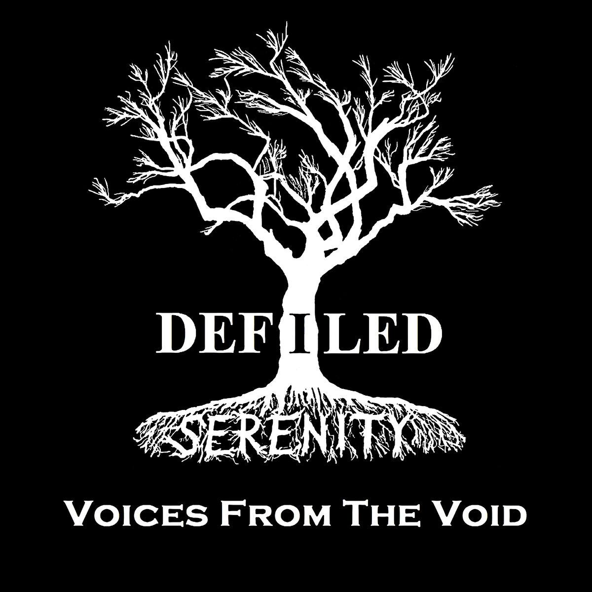 Voices From The Void  Defiled Serenity