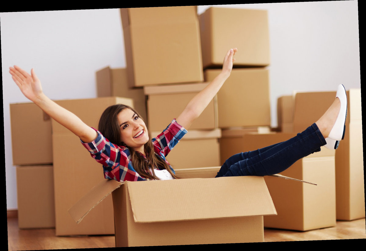 Truck Loading Ramp Kit Lowes 18557892734 truck loading ramp kit