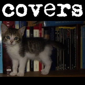 cootie catcher — Covers