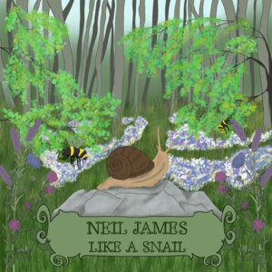 Like a Snail cover