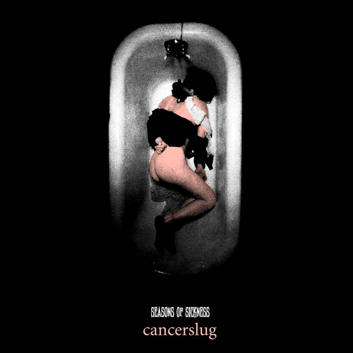 Seasons Of Sickness Album Art
