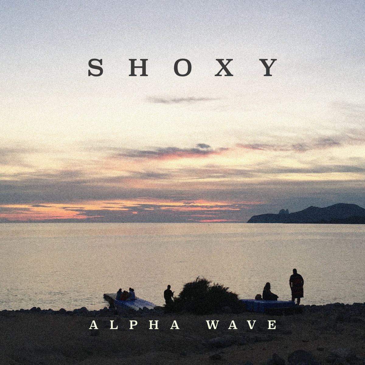 shoxy