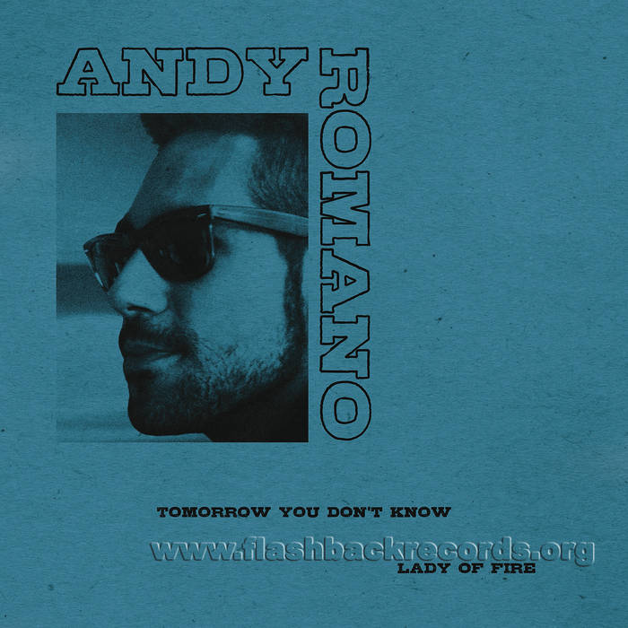 andy romano net worth - Ilustrasi 3