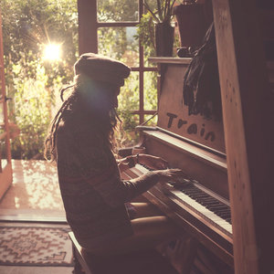 Train cover
