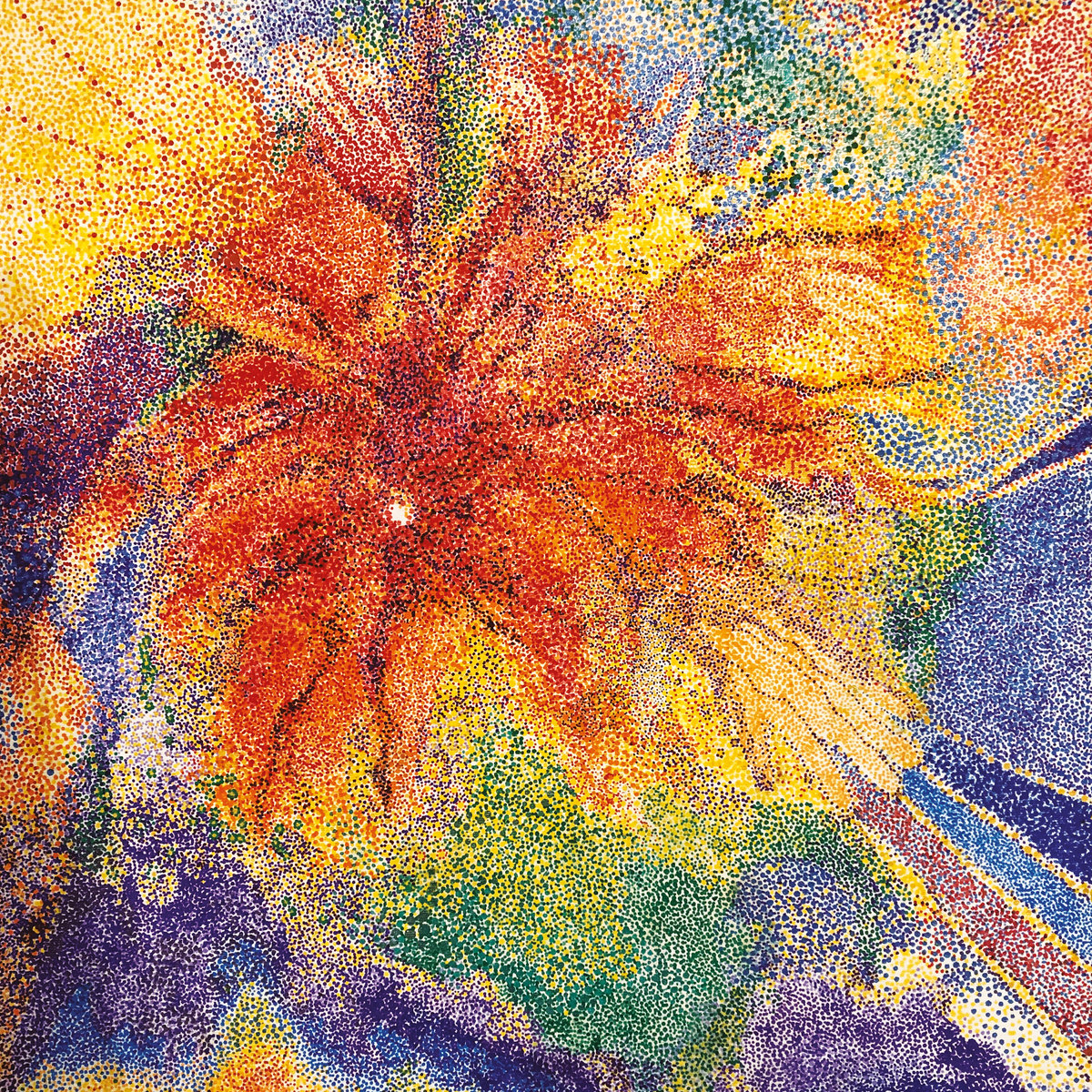 Crown Shy | Tess Parks | Hand Drawn Dracula