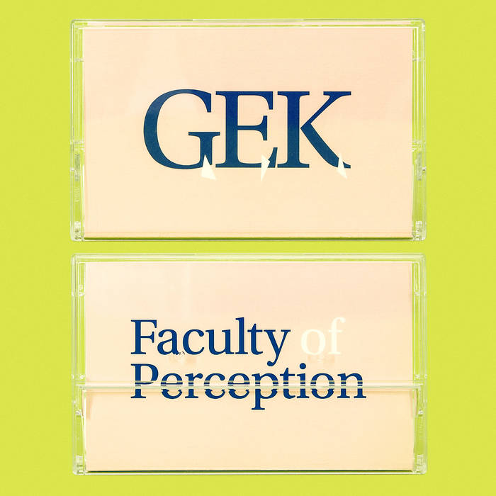 Faculty of Perception