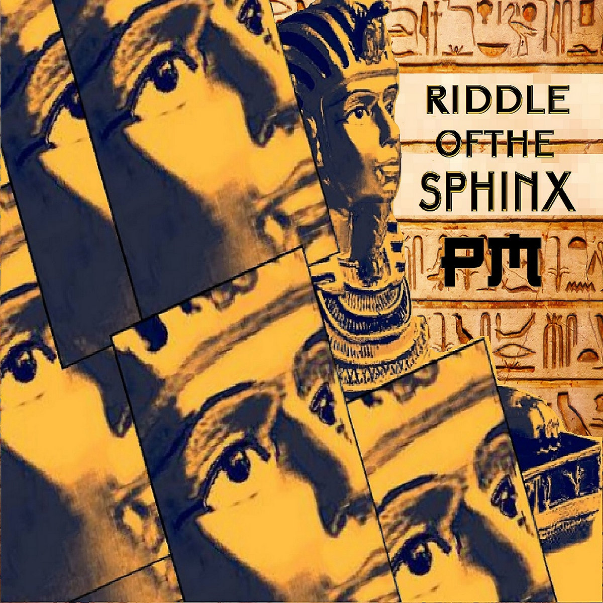 Riddle Of The Sphinx PMP   A1072365192 10 