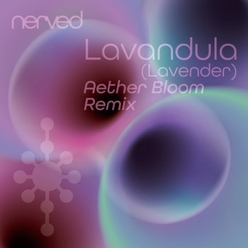 Renaizzance 「Rebirth of Soul」lCD Music | LCD Records