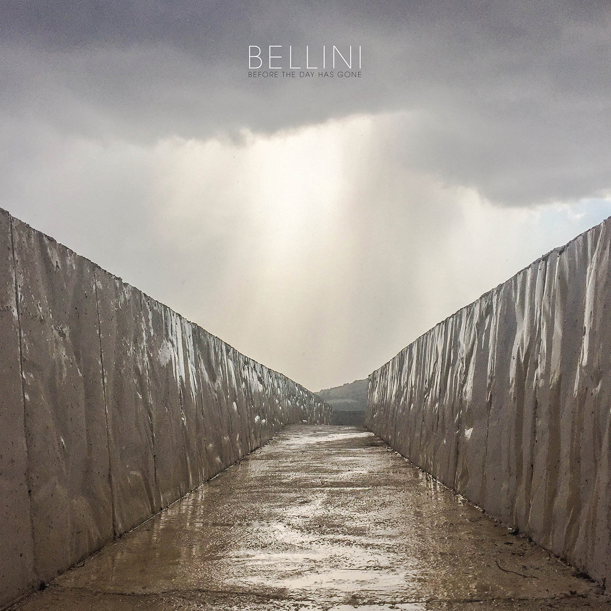 before the day has gone bellini