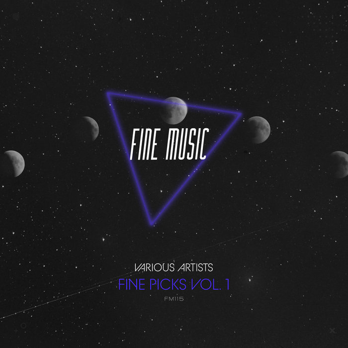 Fine Picks Vol. 1 Various Artists Fine Music