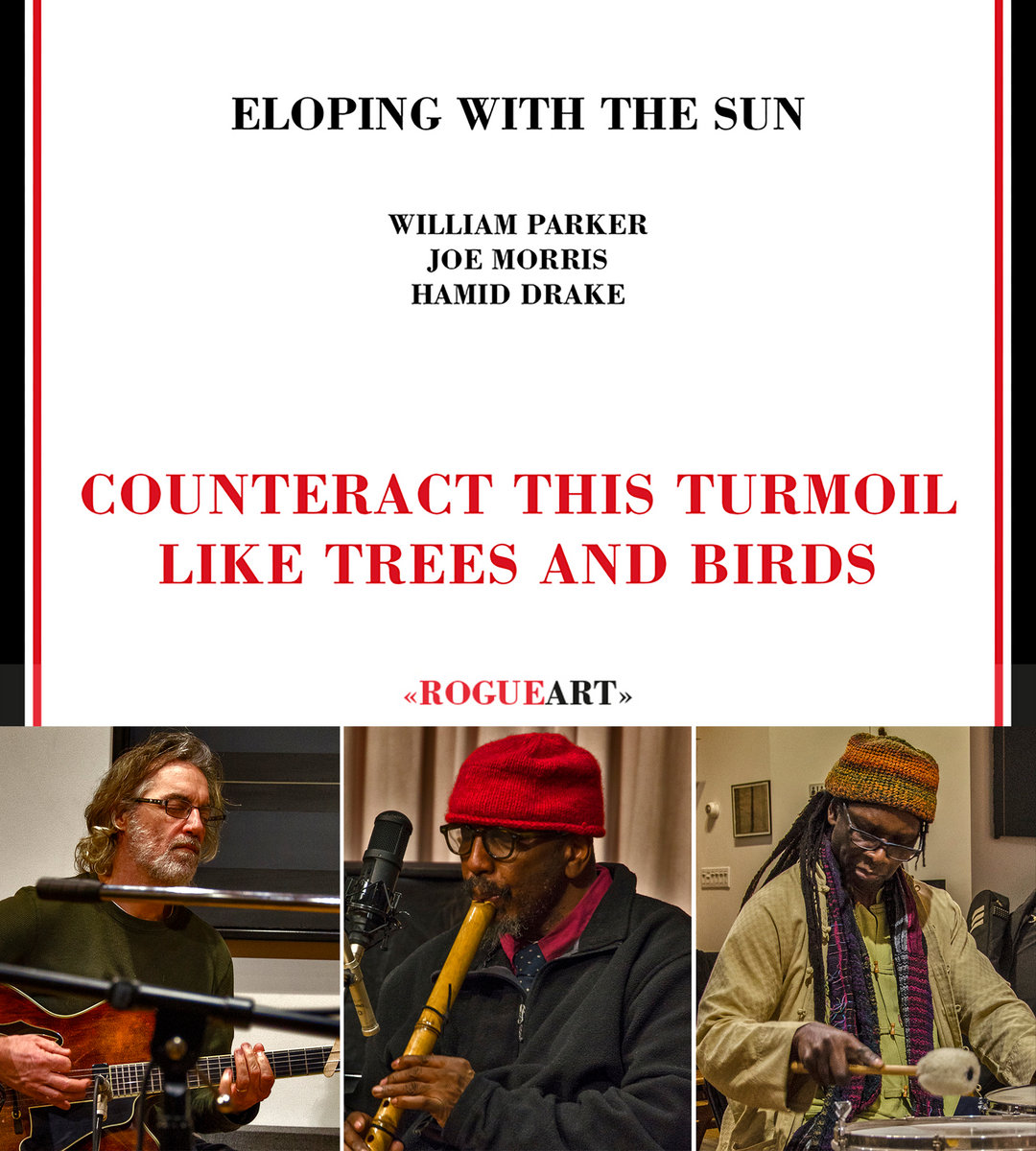 COUNTERACT THIS TURMOIL LIKE TREES AND BIRDS | ELOPING WITH THE SUN ...