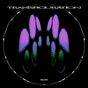 Transfiguration cover