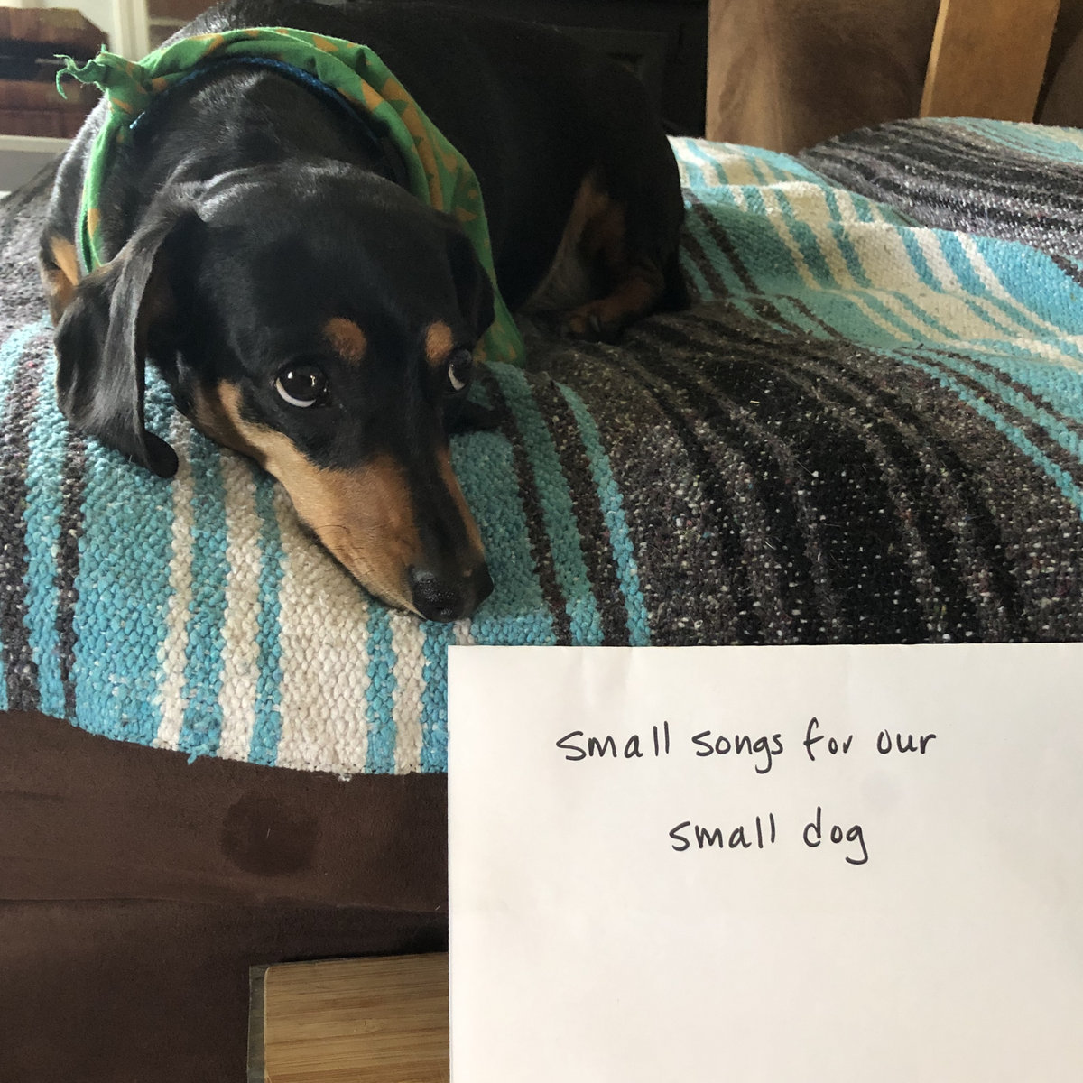 small dog song