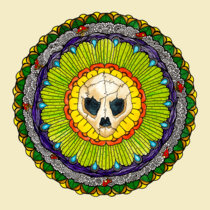 Turtle Skull cover art