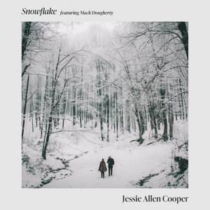 Snowflake (2005 Version) cover