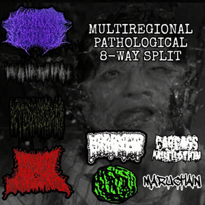 Regurgitasi — Multiregional Pathological 8-Way Split