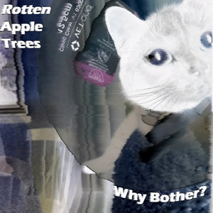 Why Bother? - EP cover