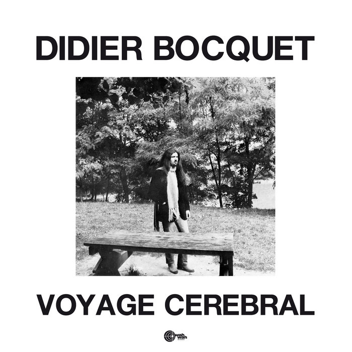 Voyage cerebral | Didier Bocquet | Wah Wah Records Supersonic Sounds
