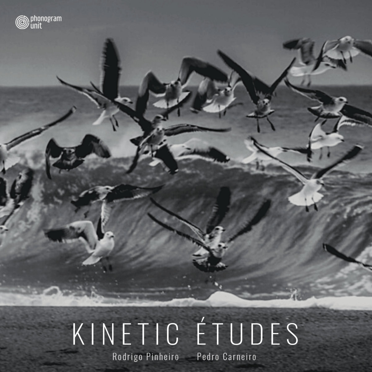 Kinetic Études — Rodrigo Pinheiro & Pedro Carneiro