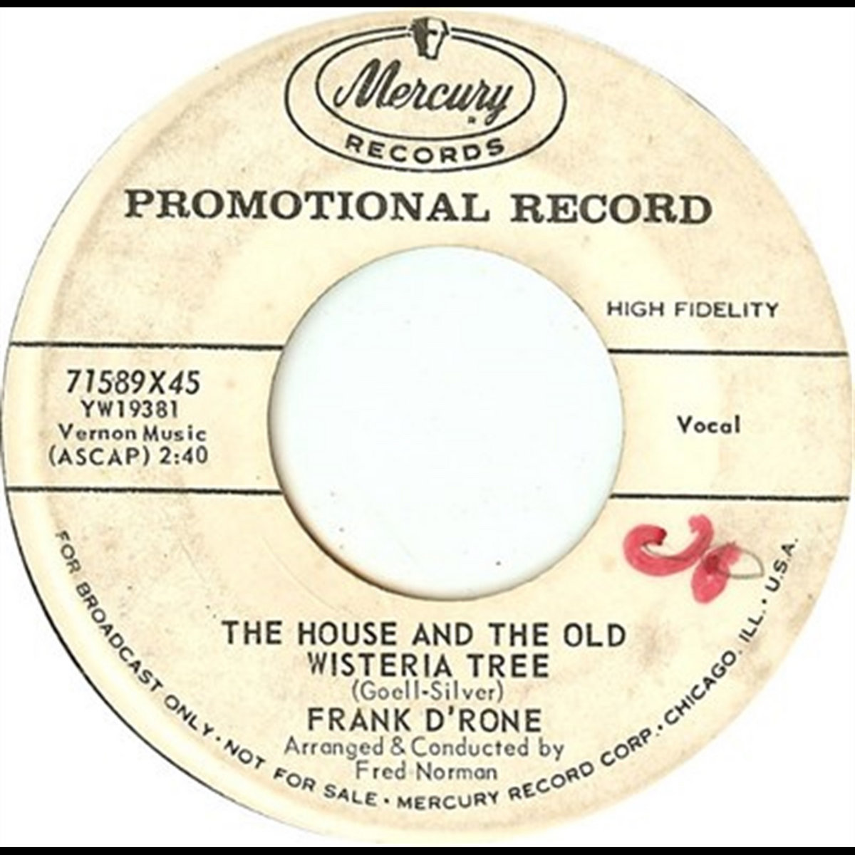 The House And The Old Wisteria Tree Joey Joey Joey | Frank D'Rone