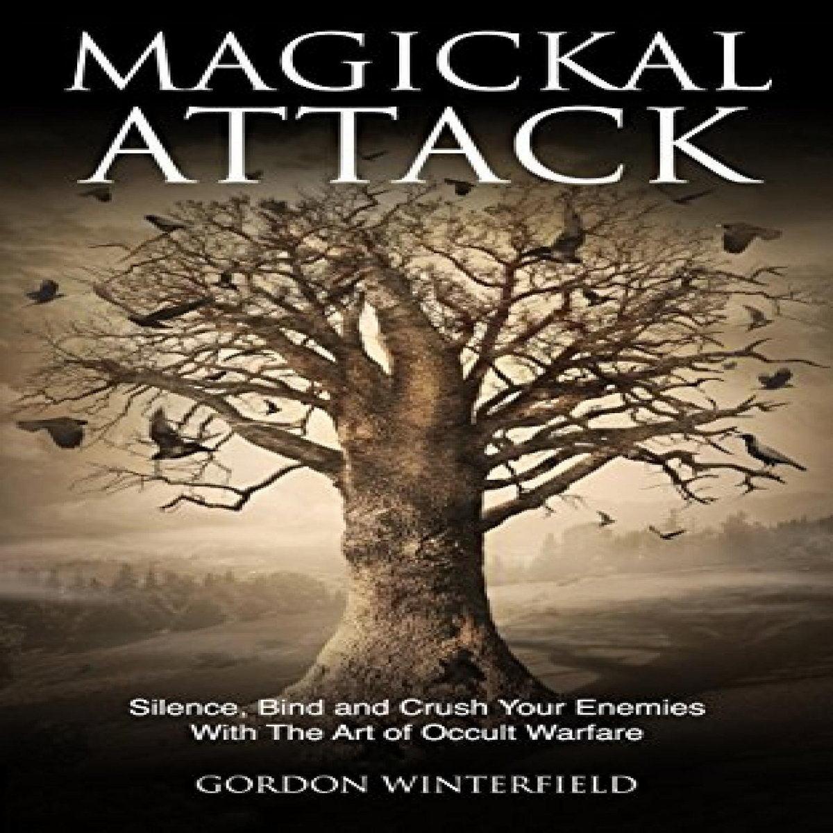 GET [KINDLE PDF EBOOK EPUB] Magickal Attack: Silence, Bind and Crush ...