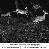 Marcel Polaire Hades Willy Sunshine — MARCEL POLAIRE & HADES - Symfaunie pour danceflore