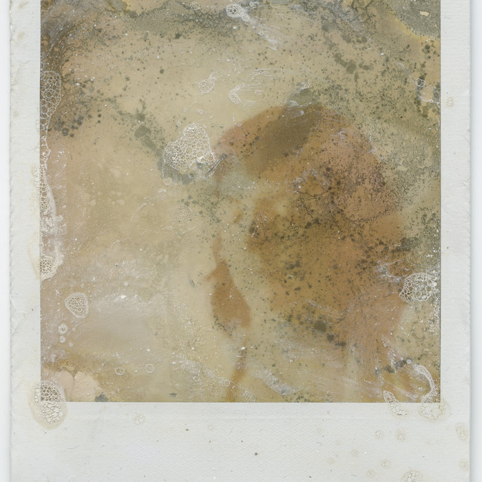 Honey Noble — Photo