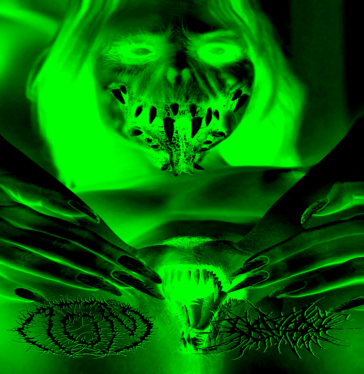 Téléchargement gratuit Images Les Nains Barbus T O M actualisé par