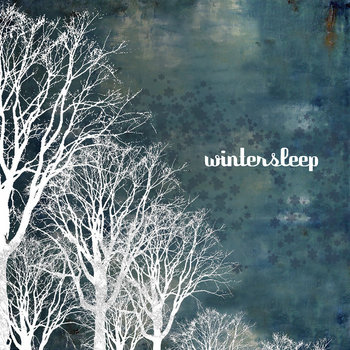 Quiet Winter Night / Hoff Ensemble レコード Albums - SKYLARK